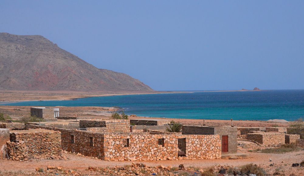 ekosistem-unik-pulau-socotra-rumah-bagi-spesies-langka