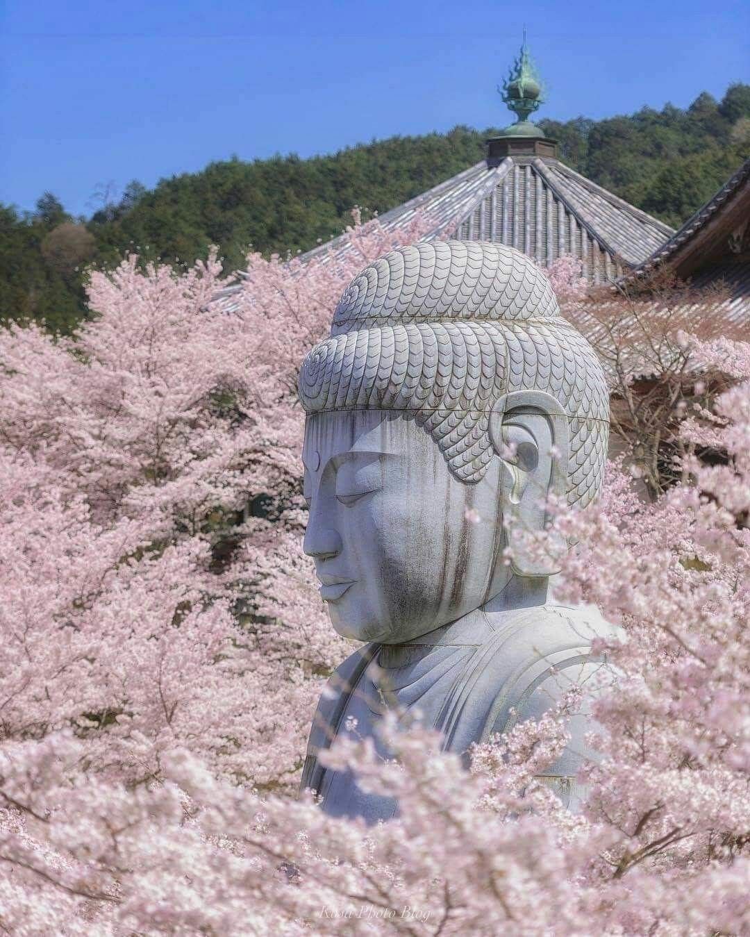 Pesona Budaya Jepang: Menyelami Tradisi yang Memikat Hati